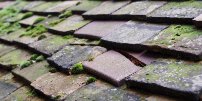 Bolnhurst roof repair costs
